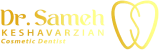 logo footer